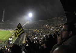 Otra fiesta amarilla y negra