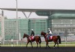 La Dubai World Cup entr� en calor