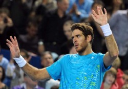 Juan Mart�n Del Potro volvi� al "top-10"