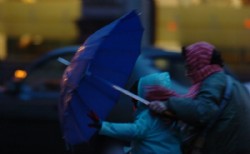 Podr� llover durante el partido