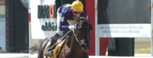 Un fin de semana lleno de carreras