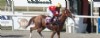 Lady Fund y Zamarro ganaron algo m�s que cotejos cl�sicos