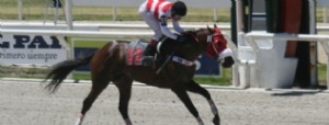 Menos de tres horas de turf en Maro�as