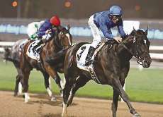 Fiesta del Godolphin ayer en Nad al Sheba