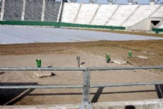Defensor no jugar en La Plata ante Estudiantes