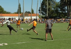 Los aromos a reventar