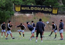 Con las defensas altas