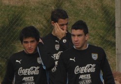 Solitos