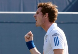 Sir Andy de Toronto