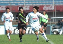 Gallardo y el efecto mariposa