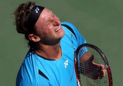 Verdasco elimin� a David Nalbandian