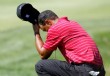 Tiger completa un a�o en cero