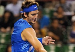 Del Potro volvi� a caer en primera ronda