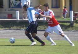 Cerro hizo le�a del �rbol ca�do