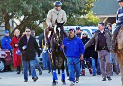 La Breeder`s Cup en marcha