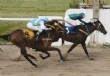 Public Funds se llev� la "Copa Precoces"
