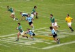 Teros quedaron afuera de la Copa de Oro