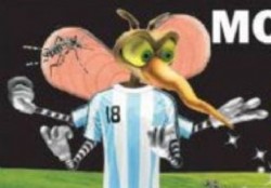 El dengue tiene cara de argentino