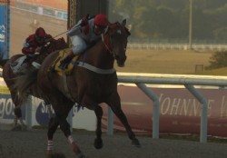 Doctorazo y Holly, jer�rquicos