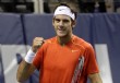 Del Potro avanza a semifinales