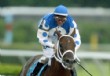 Smarty Jones llegar� a Uruguay en agosto
