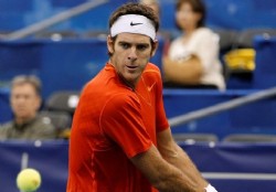Roddick y Del Potro avanzaron en Memphis