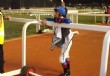 Crece la expectativa por la gran fiesta de la Dubai World Cup