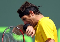 Del Potro, desgarrado, no jugar�a Roland Garros