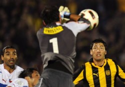 Prensa chilena carga contra Garc�s