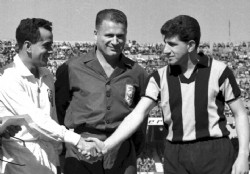 Versi�n moderna de un viejo cl�sico de la copa