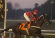 Alc�zar quiere volar m�s alto