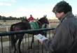 Pozo de Pick 6 es polo de atracci�n dominical