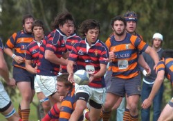 Los favoritos confirmaron sus aspiraciones en el Clausura