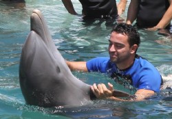 Jugadores nadaron con los delfines