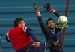 Bienvenidos los nuevos