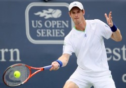 Djokovic y Murray jugarn la final