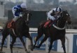 Boby di Job ante once rivales en el Gran Premio Jockey Club