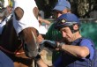 "Creo que mi gran virtud es saber interpretar al caballo"