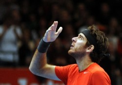 Del Potro y Tsonga a la final en Viena