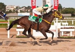 Mr. Nedawi vuelve a apuntarle al "Ram�rez"