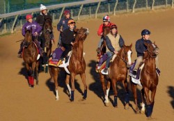Se disputa la primera fecha de la Breeders