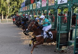 Turf de Reyes
