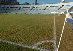 Paul le cambi� el color al Centenario
