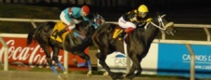 El domingo se sabr� el nombre del baby crack