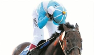 Mister Falero