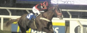 Dos handicap para milleros y veloces ser�n el plato fuerte