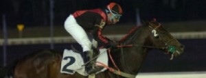 Haras Gavroche y su primer lote de productos 2010