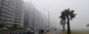 Varados por la niebla