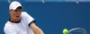 Berdych y Querrey pasaron a semifinales en Winston