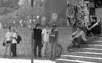 11-1  d borrelli